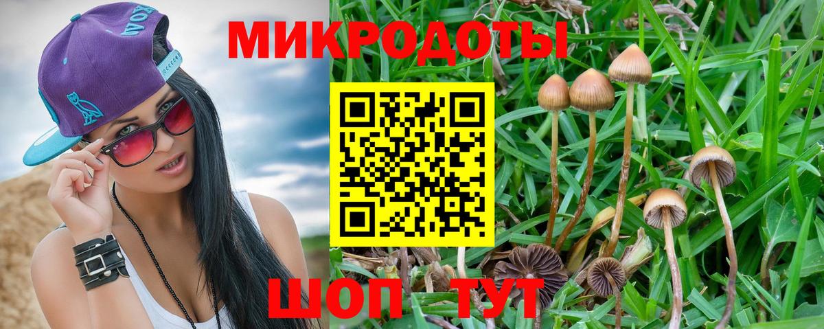 Галлюциногенные грибы мухоморы Кыштым