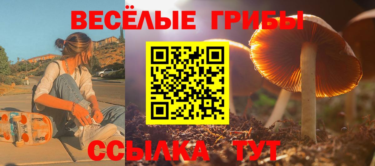 Кыштым  Псилоцибиновые грибы прущие грибы  Вход с VPN 